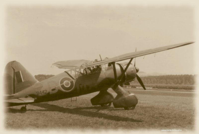 Lysander britannique